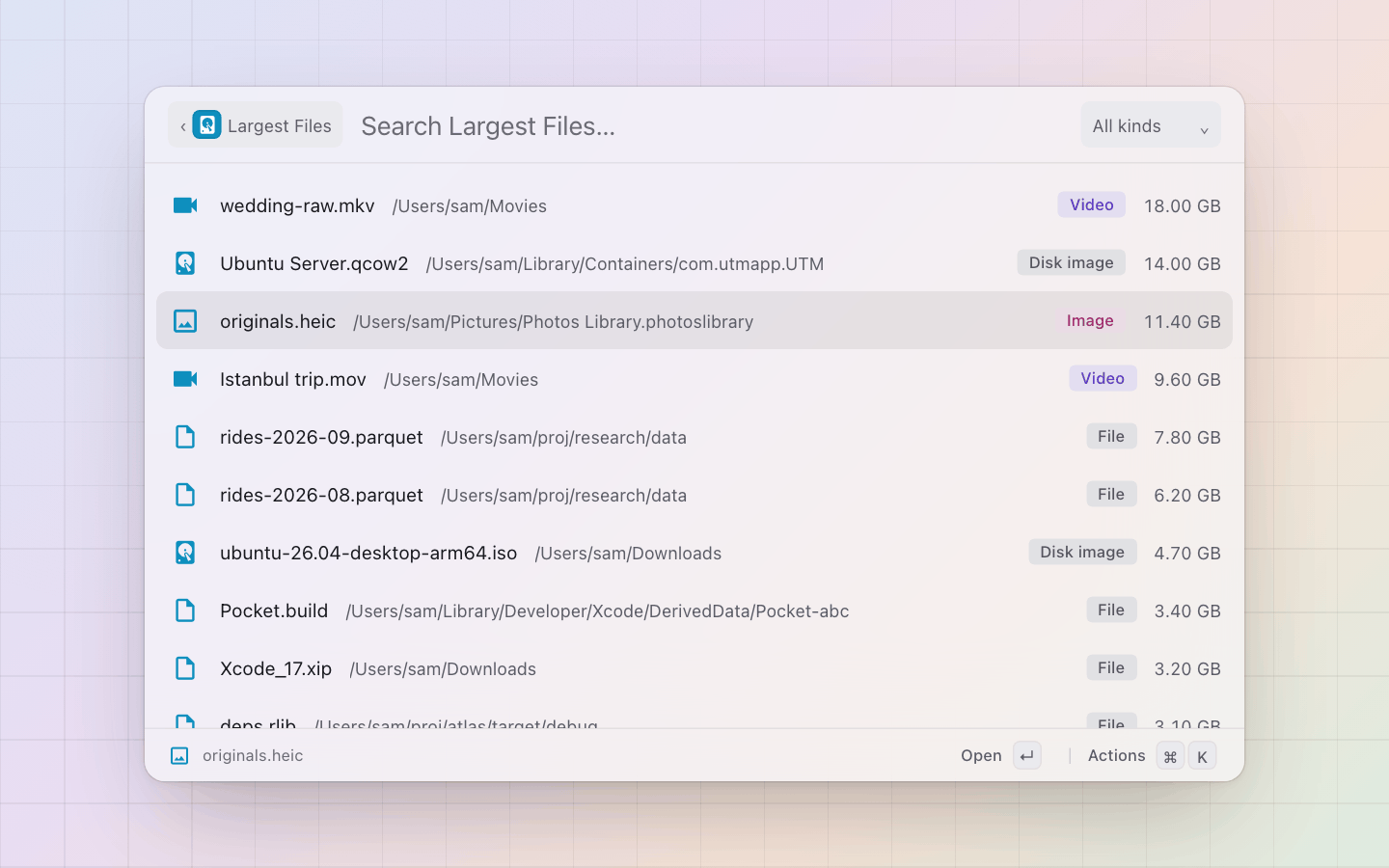 Disk Space: The largest files anywhere under the root, each with its folder, kind and size; filter to videos or disk images